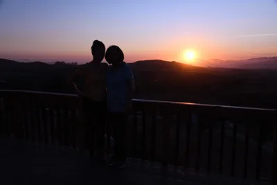 DSC_2154 (Large).JPG